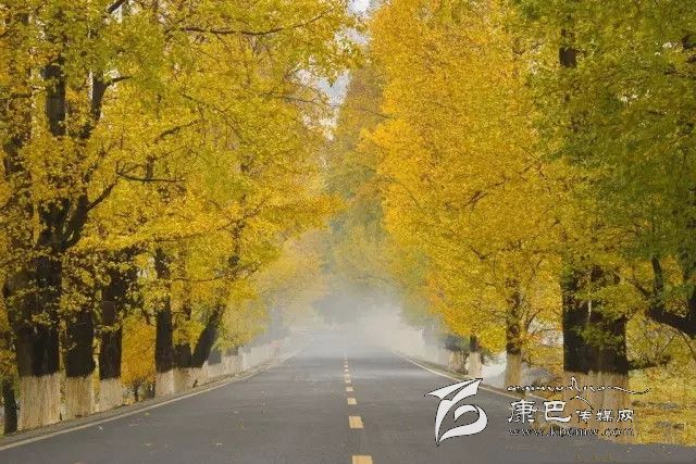 康定新都橋，有一條黃金大道通往夢中的天堂