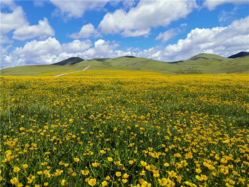 祝?；ê? 任剛.jpg